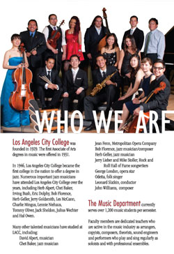 Fundraising Brochure Design